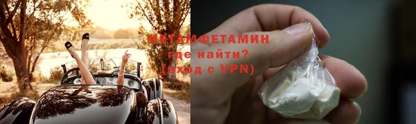 прущие грибы Михайловск