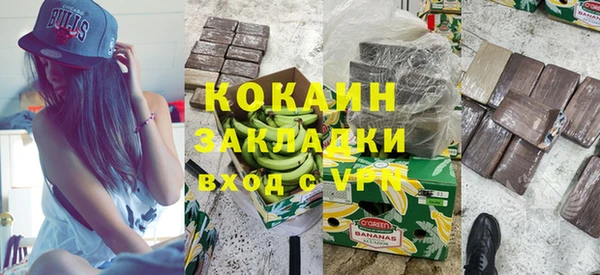 прущие грибы Михайловск