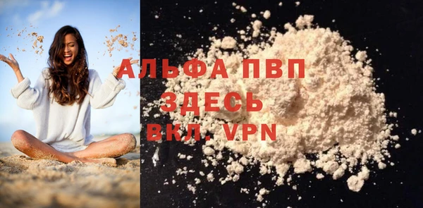 прущие грибы Михайловск
