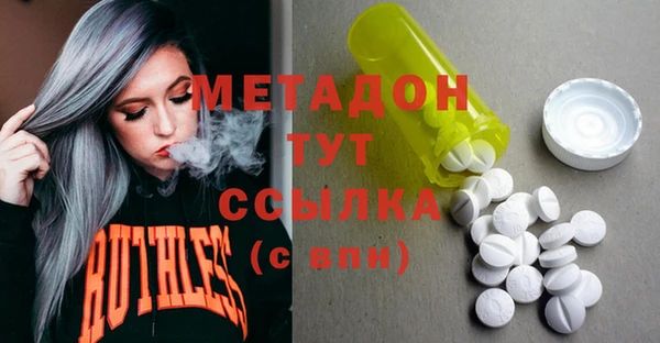 прущие грибы Михайловск