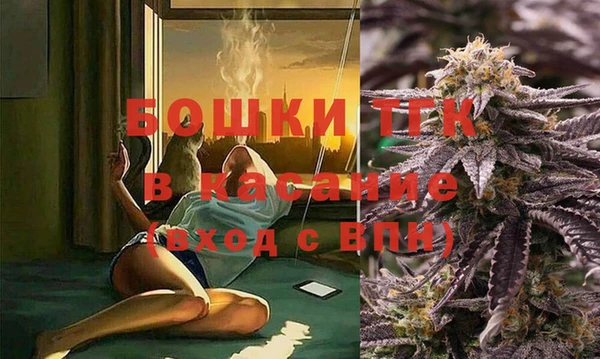 прущие грибы Михайловск